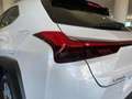 Lexus UX 300e Luxury Alb - thumbnail 25