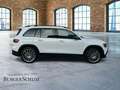 Mercedes-Benz GLB 250 4M AMG 360 ACC AUT DynLicht Kam. KeyLess Weiß - thumbnail 4