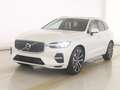Volvo XC60 T8 Plus Bright Recharge Plug-In Hybrid AWD Weiß - thumbnail 1