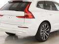 Volvo XC60 T8 Plus Bright Recharge Plug-In Hybrid AWD Weiß - thumbnail 9