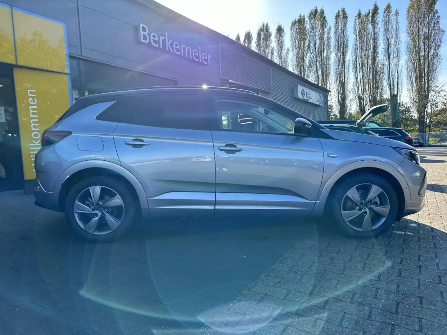Opel Grandland GSe Plug-in Hybrid 4 ** Allwetter ** Gris - 2