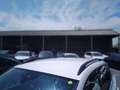 SEAT Ateca 2.0 TDI 85kW (115CV) S&S Style Go Blanco - thumbnail 15