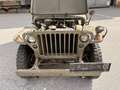 Jeep Willys Jeep MB Grün - thumbnail 7