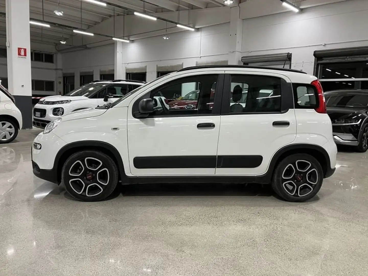 Fiat Panda 1.0 FireFly Hybrid City Life con finanziamento Bianco - 2