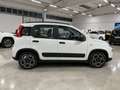 Fiat Panda 1.0 FireFly Hybrid City Life con finanziamento Bianco - thumbnail 4