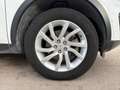 Land Rover Discovery Sport 2.0 TD4 150 CV Auto Business Edition Bianco - thumbnail 10
