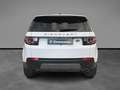 Land Rover Discovery Sport 2.0 TD4 150 CV Auto Business Edition Bianco - thumbnail 4
