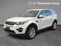 Land Rover Discovery Sport 2.0 TD4 150 CV Auto Business Edition Bianco - thumbnail 1