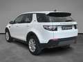 Land Rover Discovery Sport 2.0 TD4 150 CV Auto Business Edition Bianco - thumbnail 3
