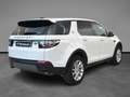 Land Rover Discovery Sport 2.0 TD4 150 CV Auto Business Edition Bianco - thumbnail 5