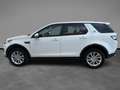 Land Rover Discovery Sport 2.0 TD4 150 CV Auto Business Edition Bianco - thumbnail 2