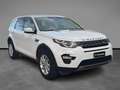 Land Rover Discovery Sport 2.0 TD4 150 CV Auto Business Edition Bianco - thumbnail 6
