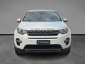 Land Rover Discovery Sport 2.0 TD4 150 CV Auto Business Edition Bianco - thumbnail 7