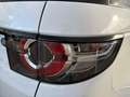 Land Rover Discovery Sport 2.0 TD4 150 CV Auto Business Edition Bianco - thumbnail 9