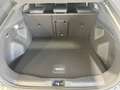 Ford Capri RWD (Extended Range) Select ACC LED Navi Grau - thumbnail 14
