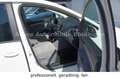 SEAT Alhambra 1.4 TSI Style*PDC*KAMERA*AHK*7-SITZER Fehér - thumbnail 10