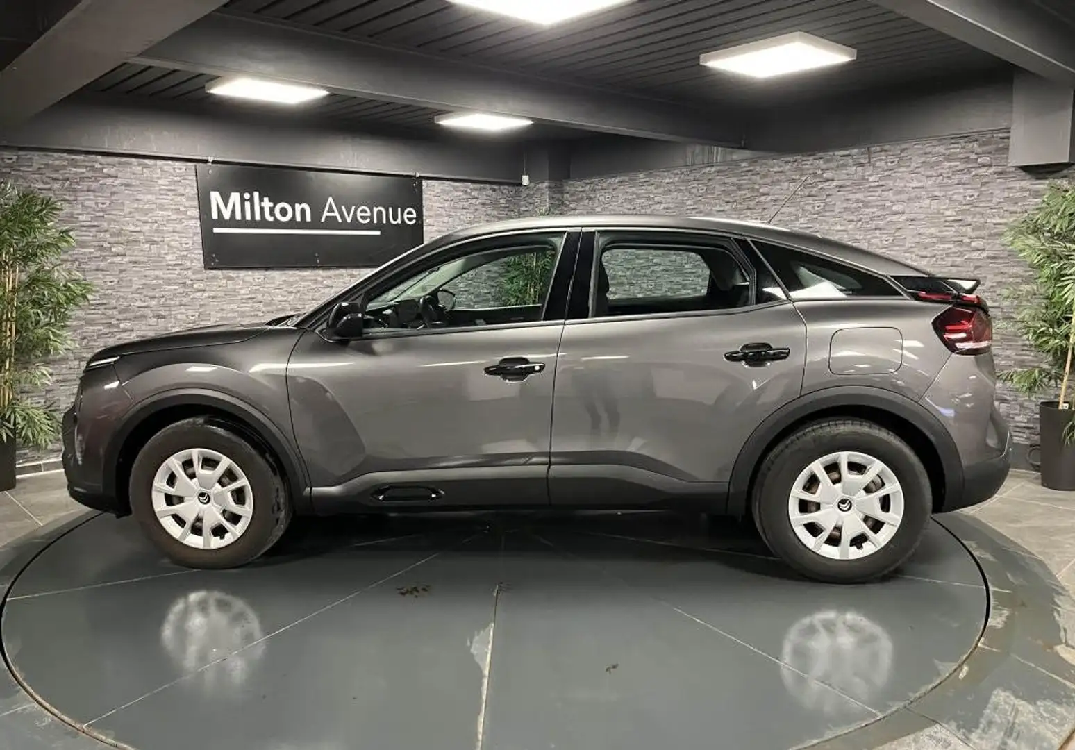Citroen C4 1.5 BlueHDi 16V - 110 S\u0026S  Live Pack Business Grigio - 2