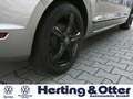 Volkswagen Golf Sportsvan Highline AHK Temp StandHZG 8-fach bereift Freispre Argent - thumbnail 5