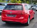 Volkswagen Golf Variant Trendline BMT DSG Pano ACC AHK Rood - thumbnail 6