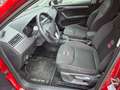 SEAT Ibiza FR Rot - thumbnail 14