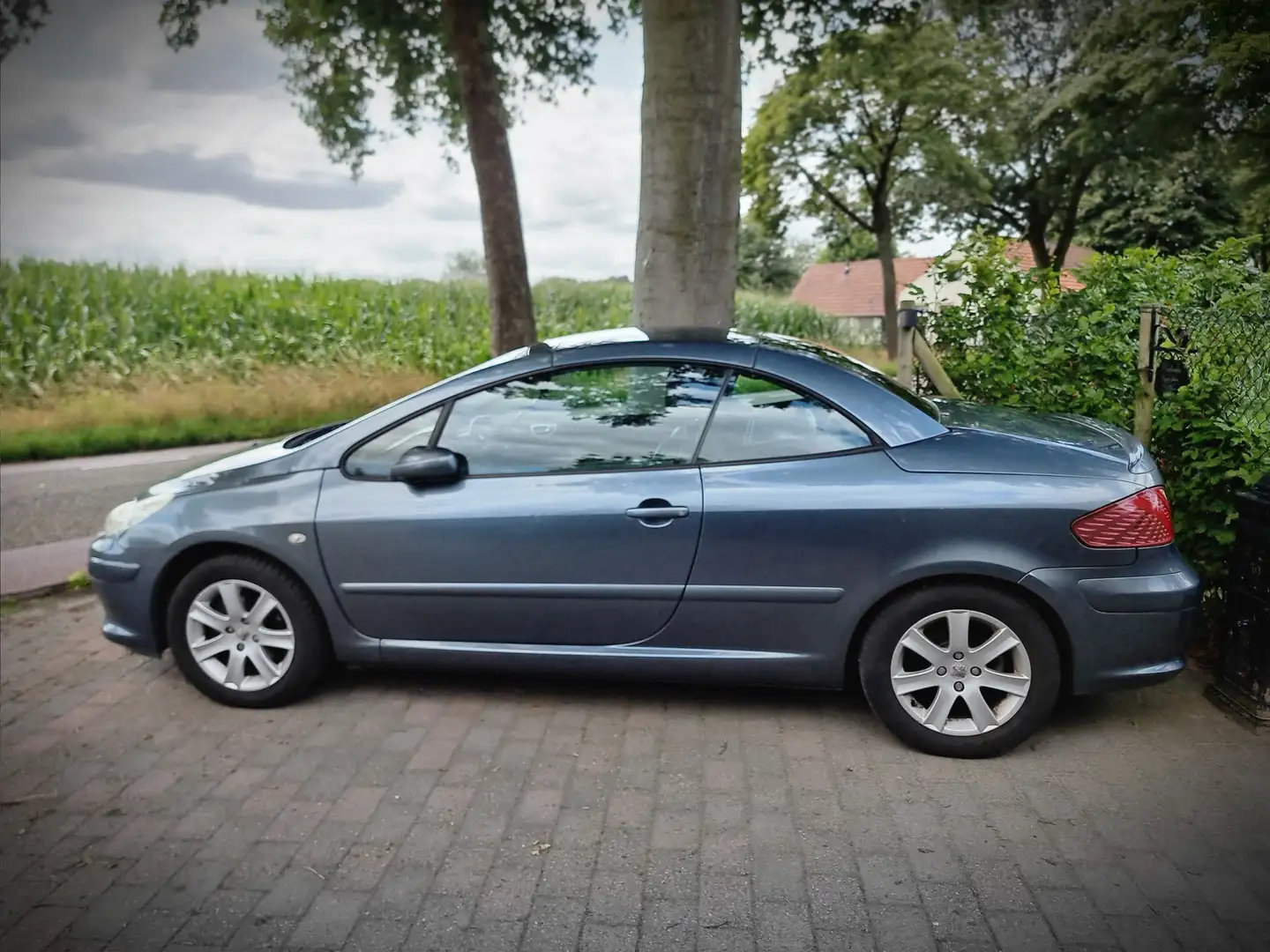Peugeot 307 307 2.0-16V Palm Beach Plateado - 1