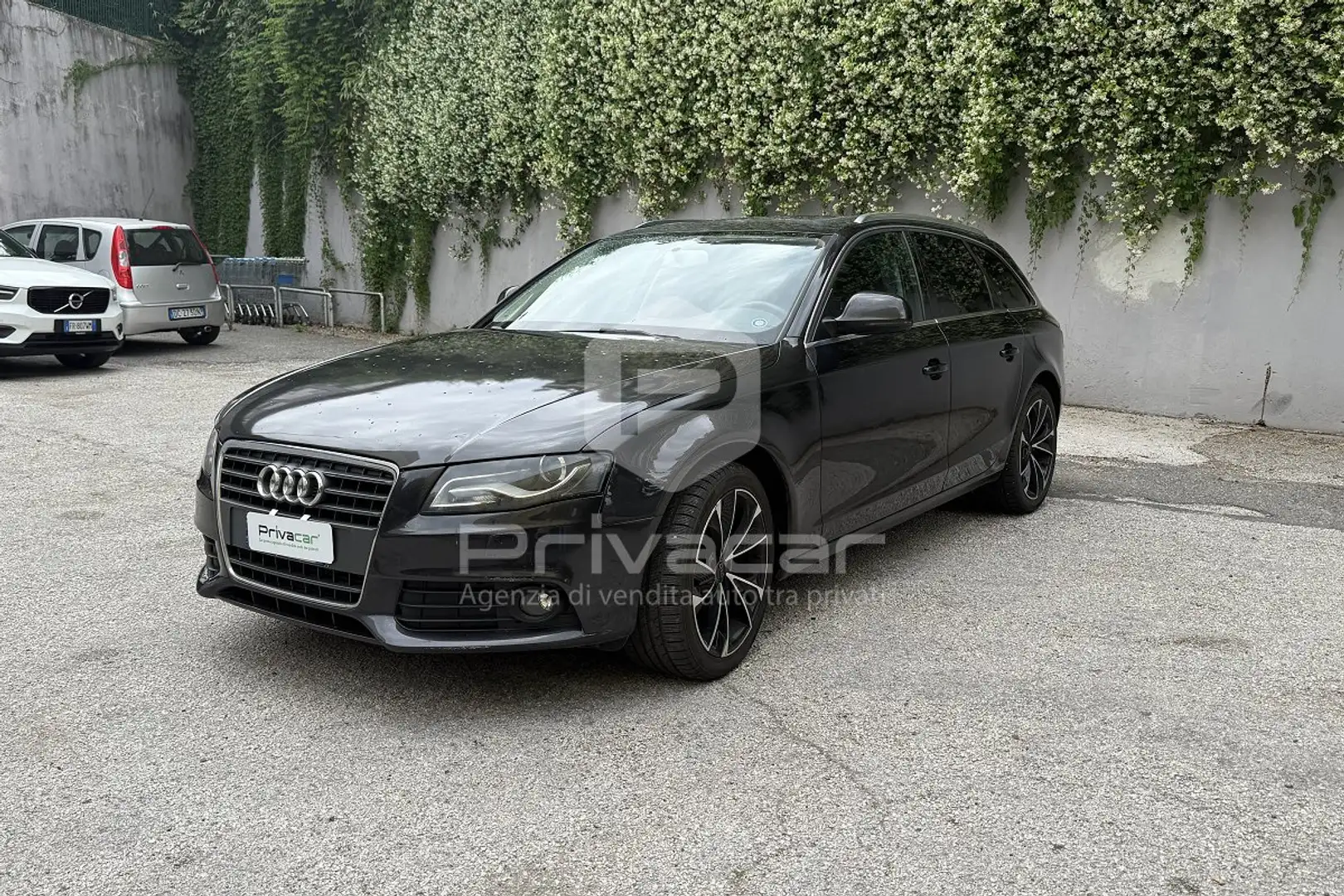 Audi A4 A4 Avant 2.0 TDI 143CV F.AP. multitronic Advanced Plateado - 1