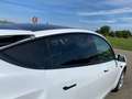 Tesla Model Y Model Y RWD / Origine Française endommagée Weiß - thumbnail 45