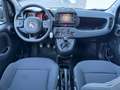 Fiat Panda 1.0 GSE Cross Schwarz - thumbnail 15