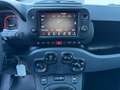 Fiat Panda 1.0 GSE Cross Schwarz - thumbnail 12