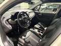 Fiat 500X 500X 1.0 T3 Sport 120cv Bianco - thumbnail 11