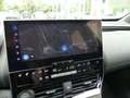 Toyota bZ4X Comfortpaket FWD Navi Kamera SHZ el.Heckkl. Grau - thumbnail 16