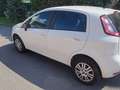 Fiat Punto 5p 1.4 natural power Easy 70cv bijela - thumbnail 1