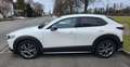 Mazda CX-30 CX-30 X180 AWD GT /SO/PR/TE/SD Aut. GT /SO/PR/TE/S Weiß - thumbnail 5