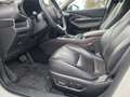 Mazda CX-30 CX-30 X180 AWD GT /SO/PR/TE/SD Aut. GT /SO/PR/TE/S Weiß - thumbnail 13