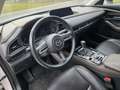 Mazda CX-30 CX-30 X180 AWD GT /SO/PR/TE/SD Aut. GT /SO/PR/TE/S Weiß - thumbnail 17