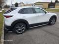 Mazda CX-30 CX-30 X180 AWD GT /SO/PR/TE/SD Aut. GT /SO/PR/TE/S Weiß - thumbnail 8