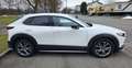 Mazda CX-30 CX-30 X180 AWD GT /SO/PR/TE/SD Aut. GT /SO/PR/TE/S Weiß - thumbnail 10