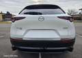 Mazda CX-30 CX-30 X180 AWD GT /SO/PR/TE/SD Aut. GT /SO/PR/TE/S Weiß - thumbnail 7