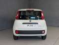 Fiat Panda 1.0 HYBRID 70CV Blanco - thumbnail 13