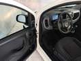 Fiat Panda 1.0 HYBRID 70CV Blanco - thumbnail 17