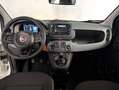 Fiat Panda 1.0 HYBRID 70CV Blanco - thumbnail 7
