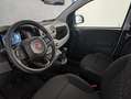 Fiat Panda 1.0 HYBRID 70CV Blanco - thumbnail 10