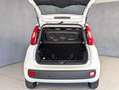 Fiat Panda 1.0 HYBRID 70CV Blanco - thumbnail 14