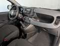 Fiat Panda 1.0 HYBRID 70CV Blanco - thumbnail 11