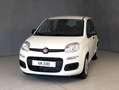 Fiat Panda 1.0 HYBRID 70CV Blanco - thumbnail 2