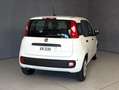 Fiat Panda 1.0 HYBRID 70CV Blanco - thumbnail 12