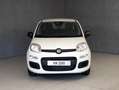 Fiat Panda 1.0 HYBRID 70CV Blanco - thumbnail 3