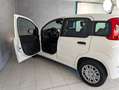 Fiat Panda 1.0 HYBRID 70CV Blanco - thumbnail 5