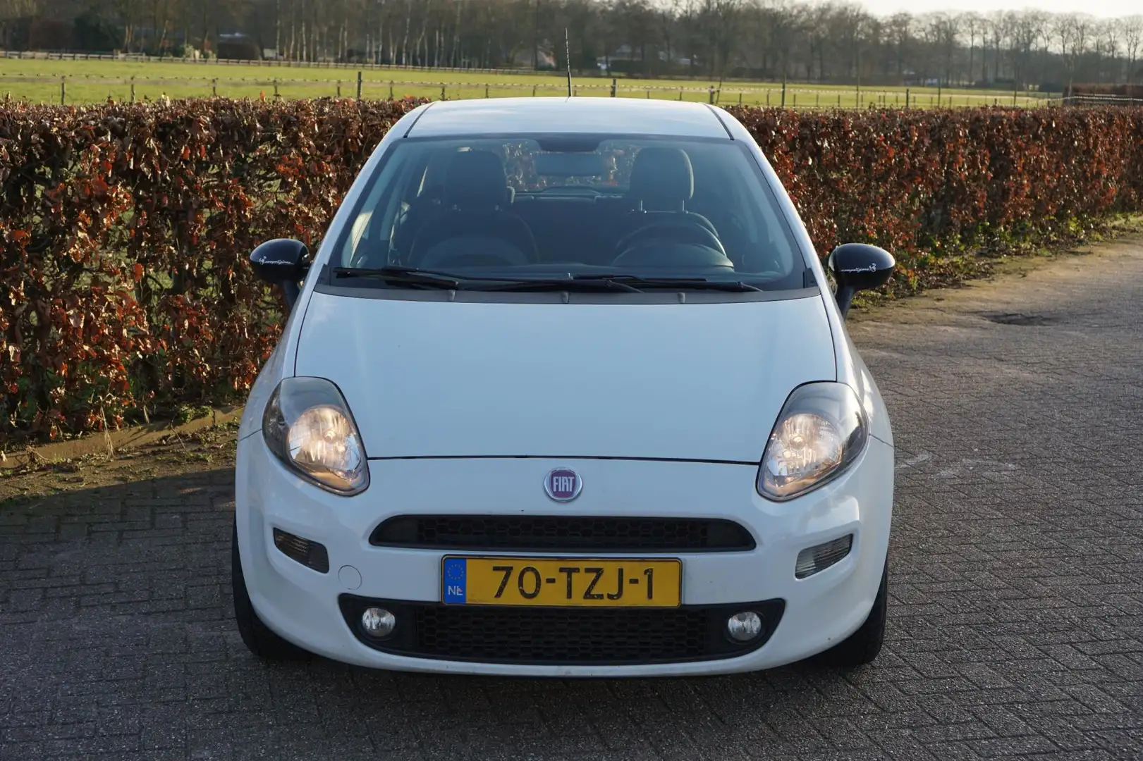 Fiat Punto Evo 0.9 TwinAir Pop|Climate Control|Cruise Control|Zui Wit - 2