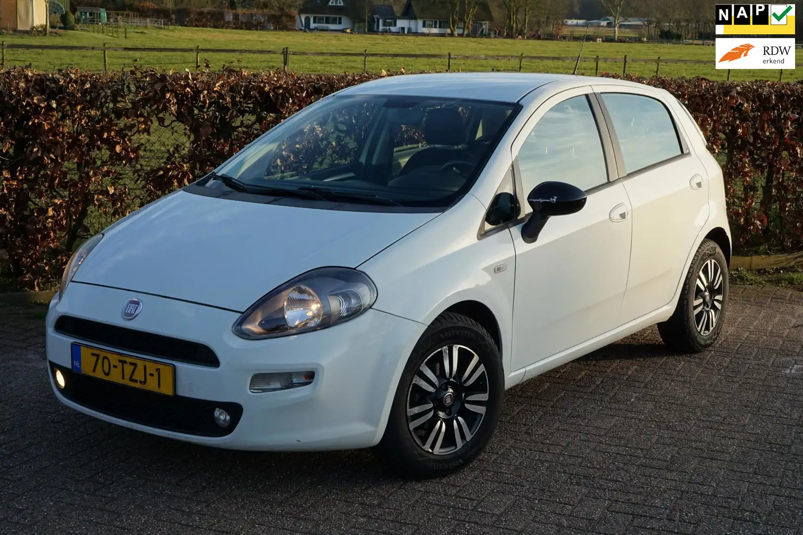 Fiat Punto Evo 0.9 TwinAir Pop|Climate Control|Cruise Control|Zui Wit - 1